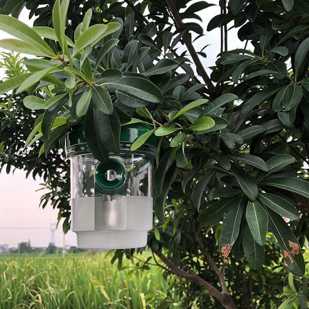 Bee Bait Trap Solar-powered Orchard Farm Bee Trap Green