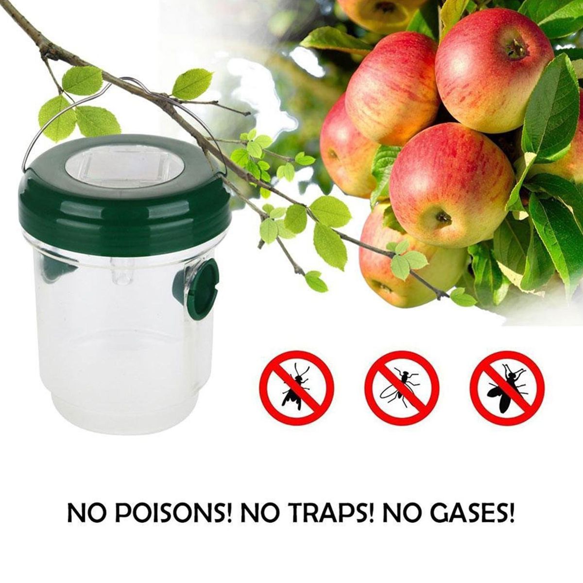 Bee Bait Trap Solar-powered Orchard Farm Bee Trap Green
