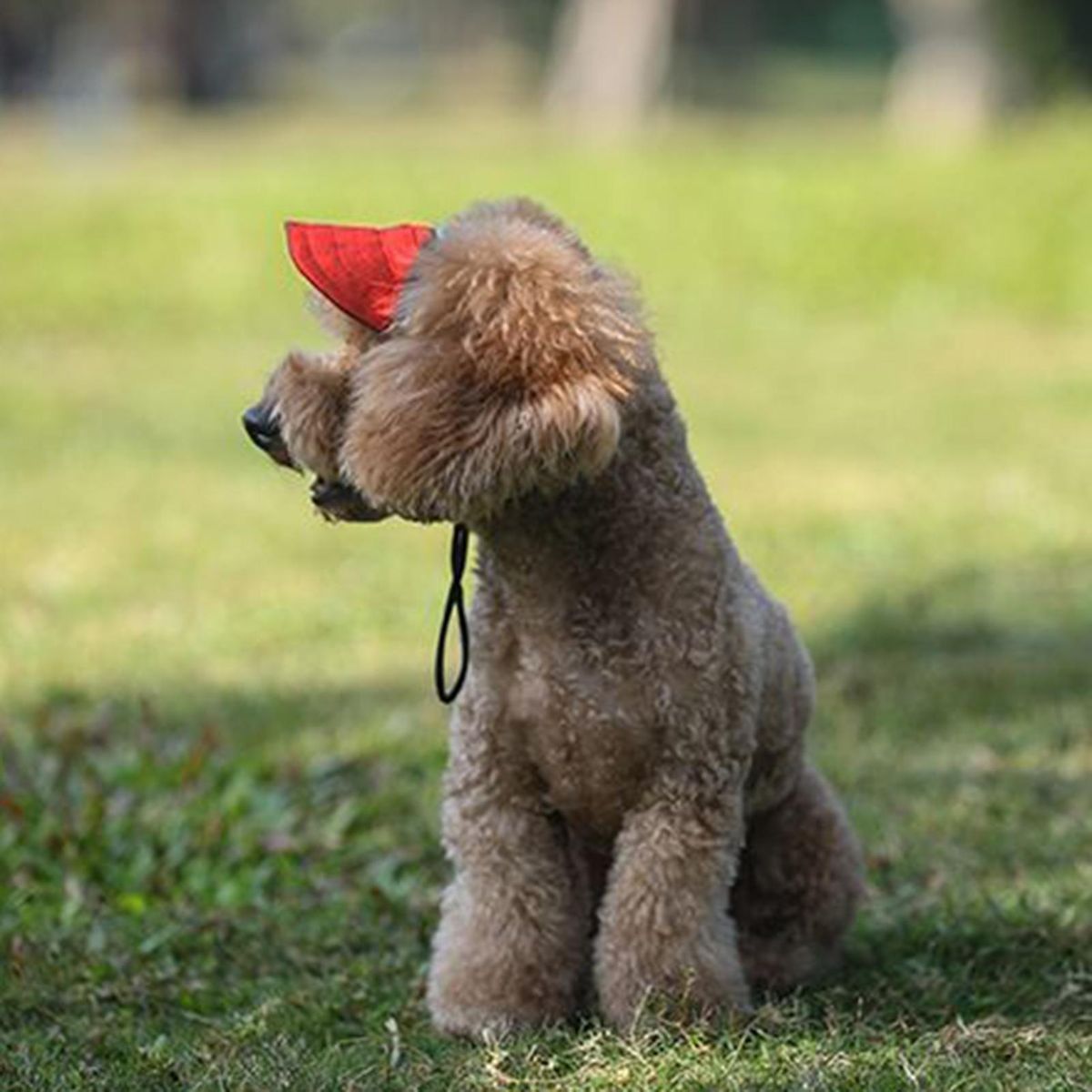 Pet Headwear All-Match Dog Baseball Cap Pet Headwear Decor Red