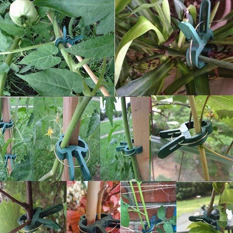 160 Pcs Garden Tomato Plant Support Clips (2 Sizes in One