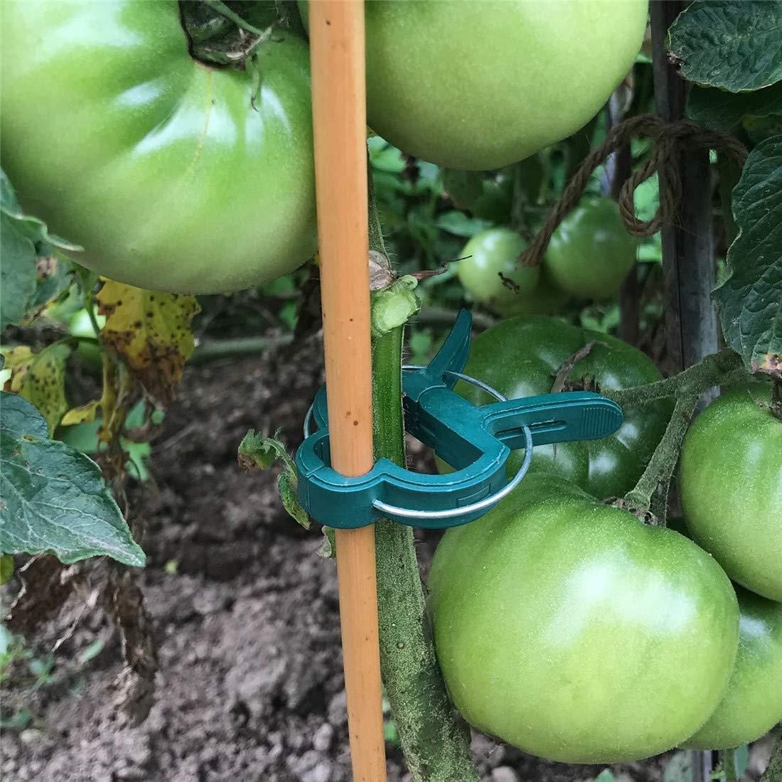 160 Pcs Garden Tomato Plant Support Clips (2 Sizes in One