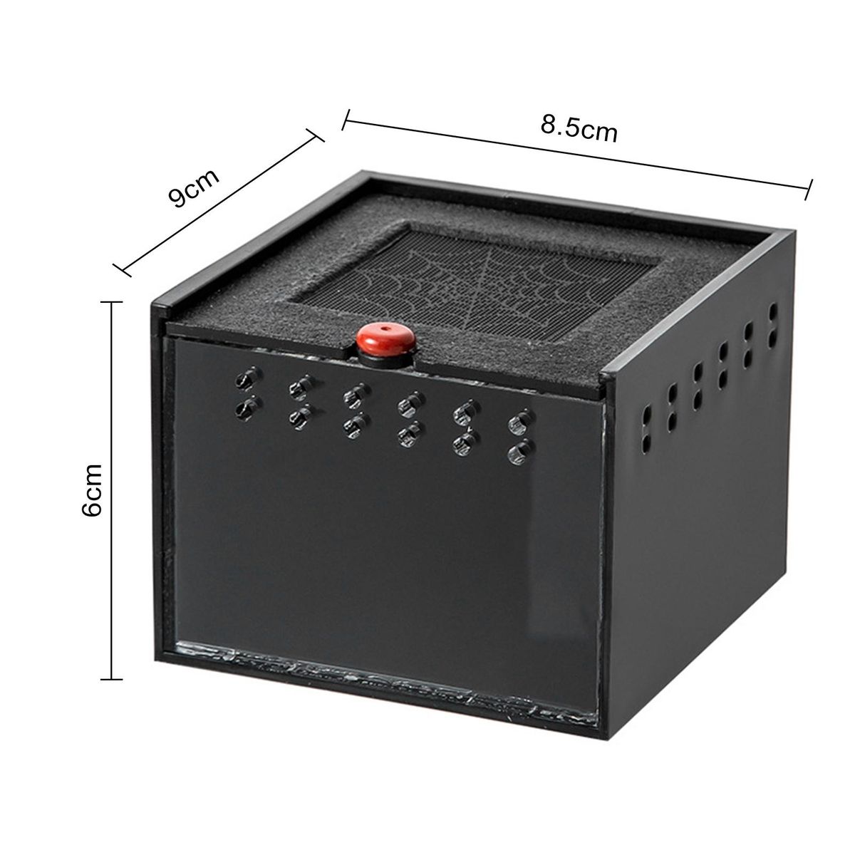 Lizard Habitat with Air Mesh Spider Haven View Feeding Box for Jumping Black