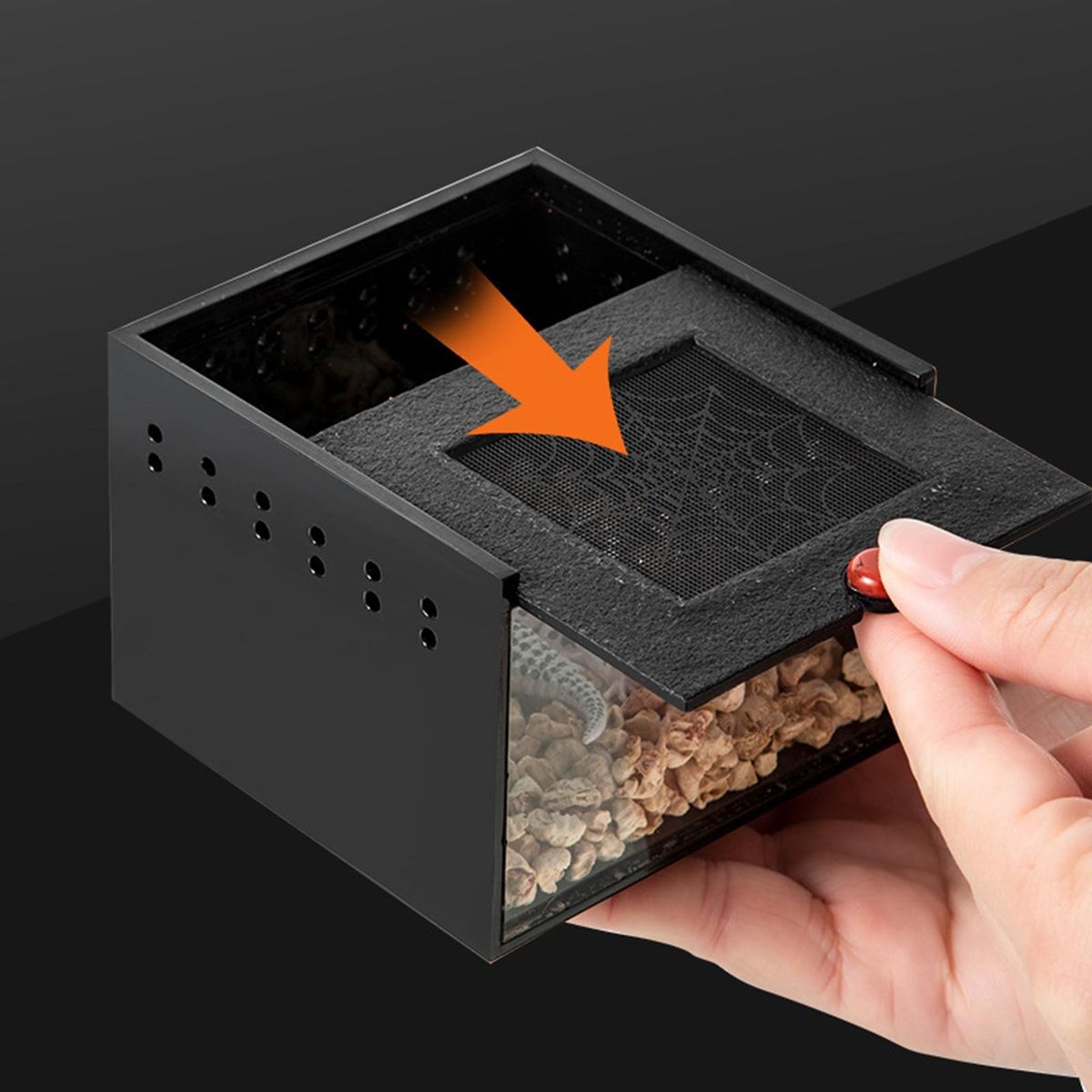 Lizard Habitat with Air Mesh Spider Haven View Feeding Box for Jumping Black