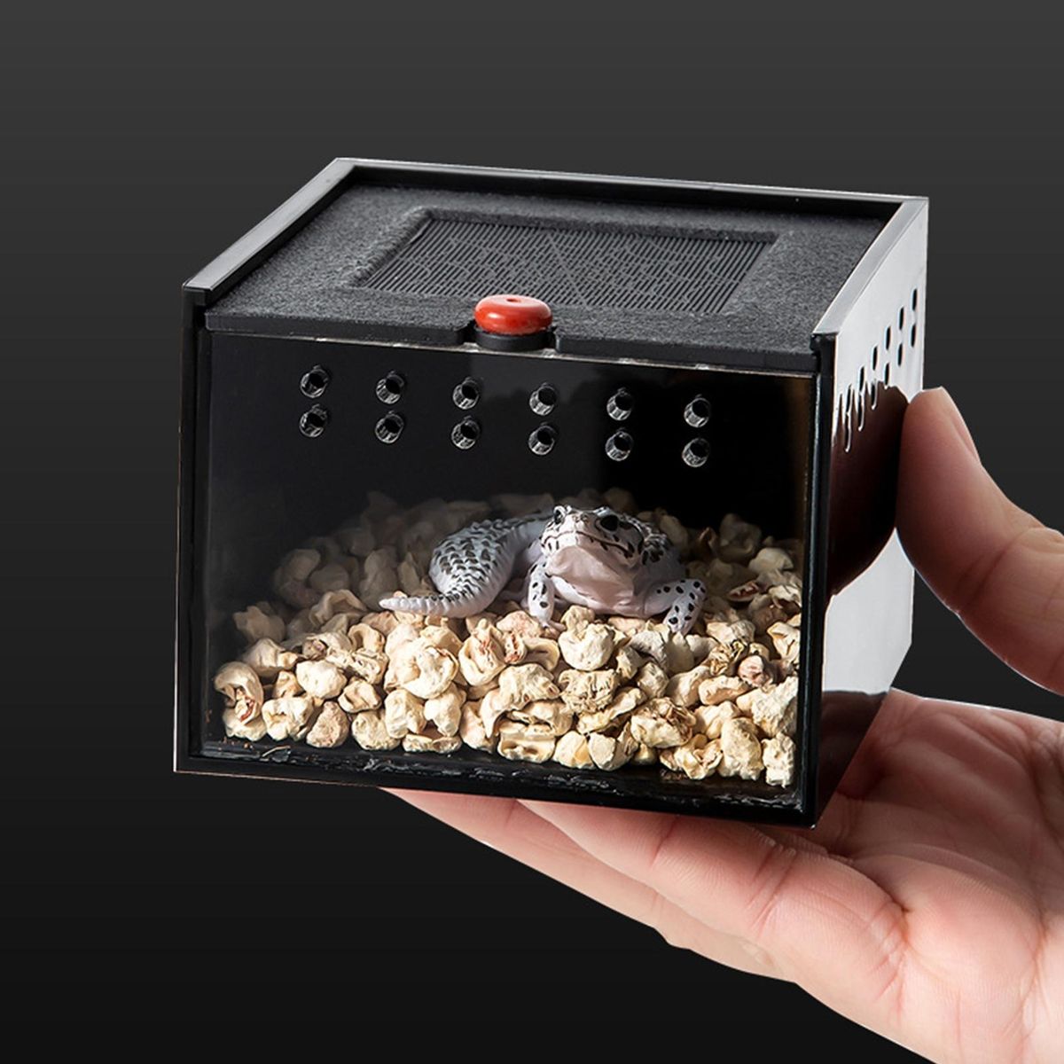 Lizard Habitat with Air Mesh Spider Haven View Feeding Box for Jumping Black