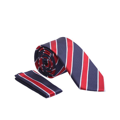 Vissioni Blue & Red Stripe Tie