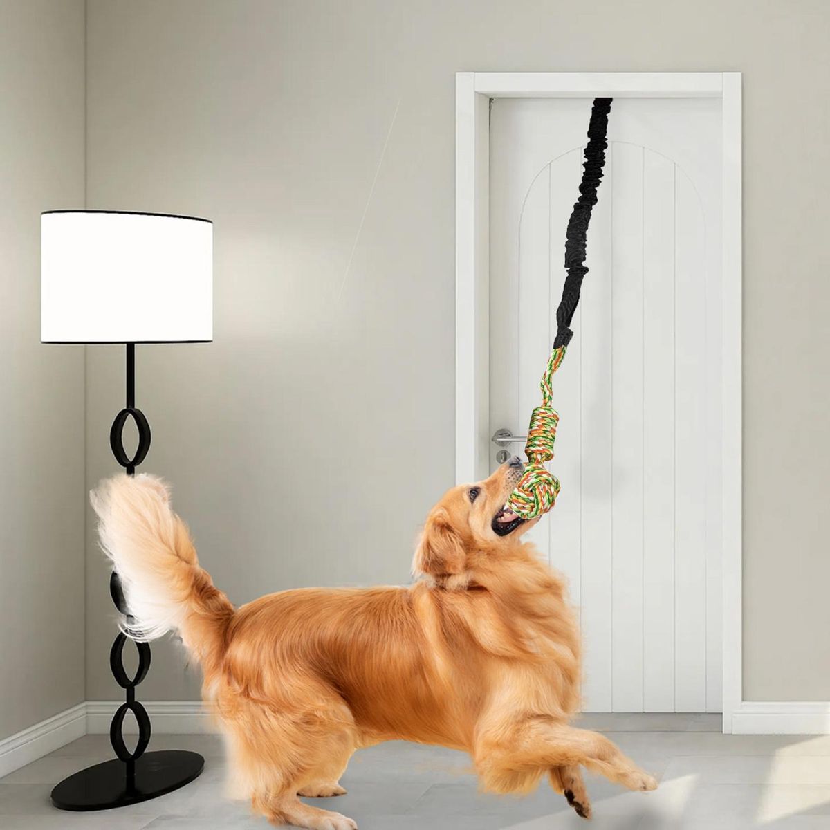 Dog Rope Toy Interactive Dog Rope Toy Toy Black