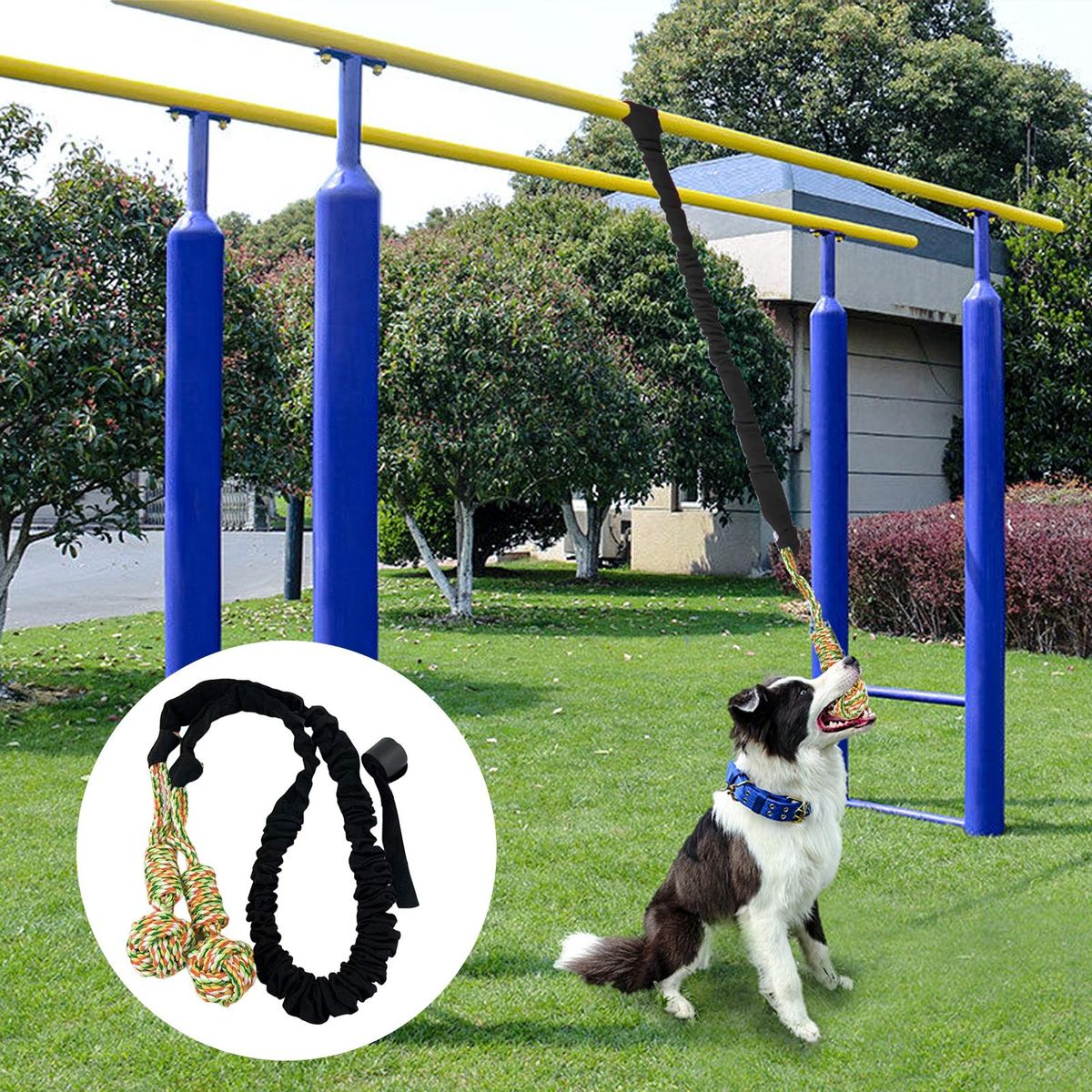 Dog Rope Toy Interactive Dog Rope Toy Toy Black