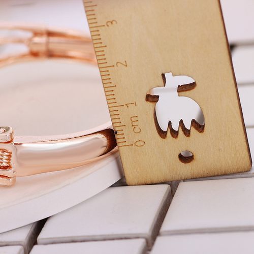 2022 Fashion New Luxury Rose Gold Diamonds Women Bracelet