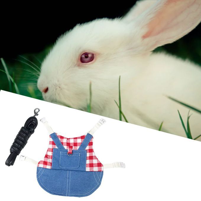 Rabbit Vest Harness Breathable Adjustable Clothes For Kitten M Red