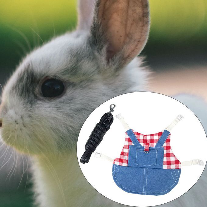 Rabbit Vest Harness Breathable Adjustable Clothes For Kitten M Red