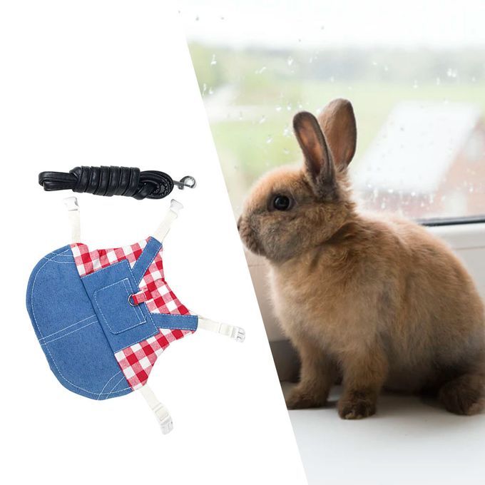Rabbit Vest Harness Breathable Adjustable Clothes For Kitten M Red