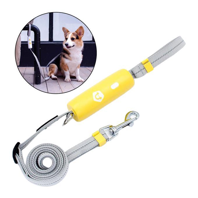 1.6m Retractable Dog Walking Leash For Outdoor Easy Control Yellow
