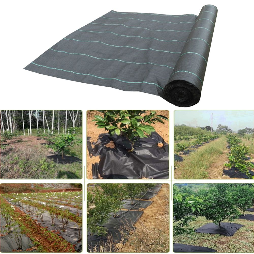 Agriculture Weed Barrierdscape Fabric Ground Cover Garden Mat Plastic Plant Grow Care-3X5M