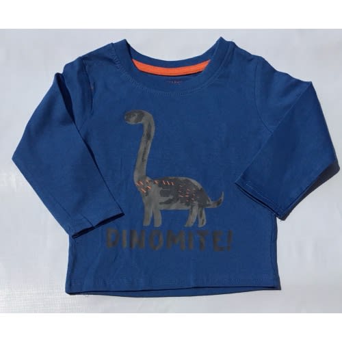 Dinomite Long Sleeve Boys Top