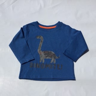Dinomite Long Sleeve Boys Top