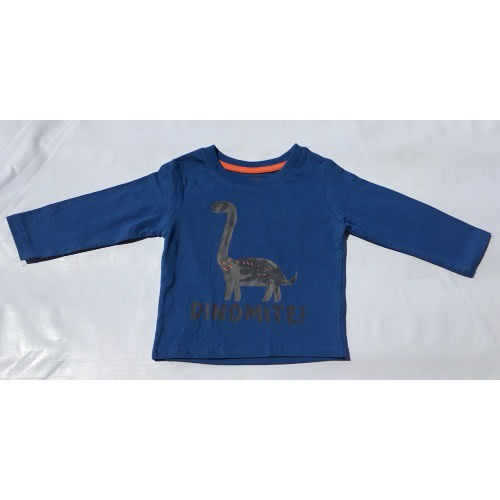 Dinomite Long Sleeve Boys Top