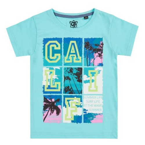 Boy's Cotton Printed T Shirts Calif