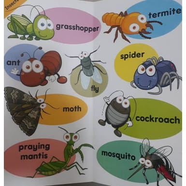 MY MINI GIANT  - MY FIRST 100 ANIMALS