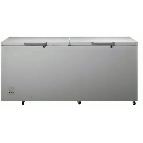 Fast Freezing Anti Rust Double Door Chest Freezer - R600 Gas - 140w - 702L - FC 91DD - Silver