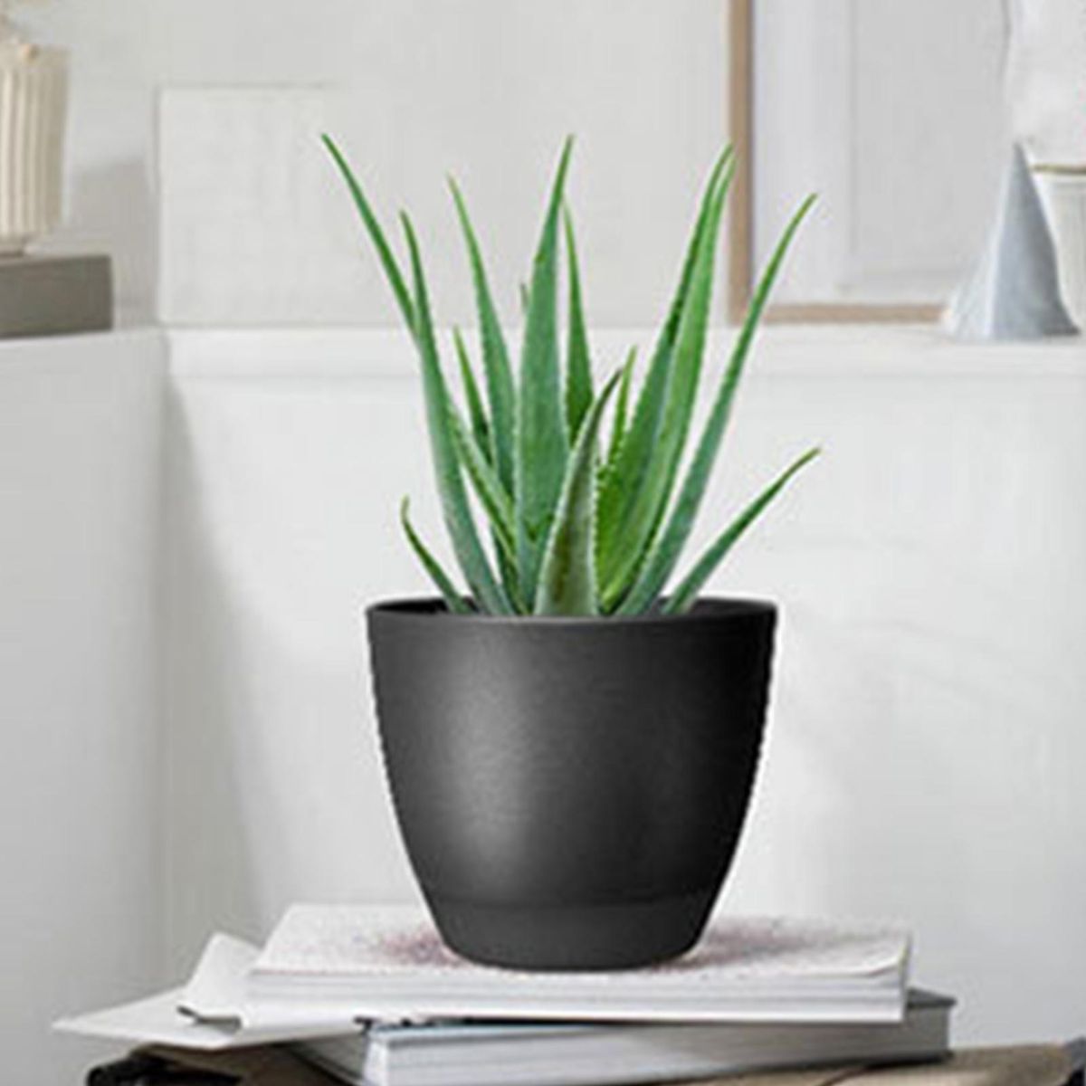 Excellent Drainage Holes Flower Pot Large Self Watering Pots Black