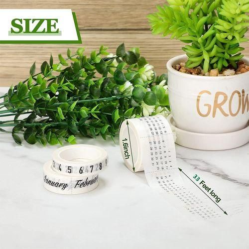 6 Rolls Washi Tape Set Calendar Day Week Month