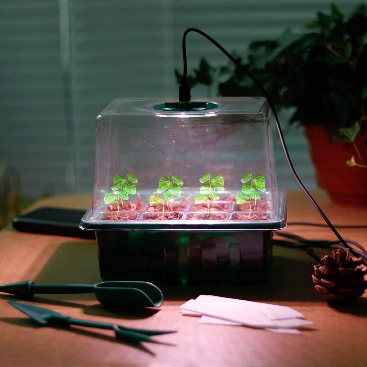 Seed Tray Kit, Plant Germination Starter Kit for Greenhouse