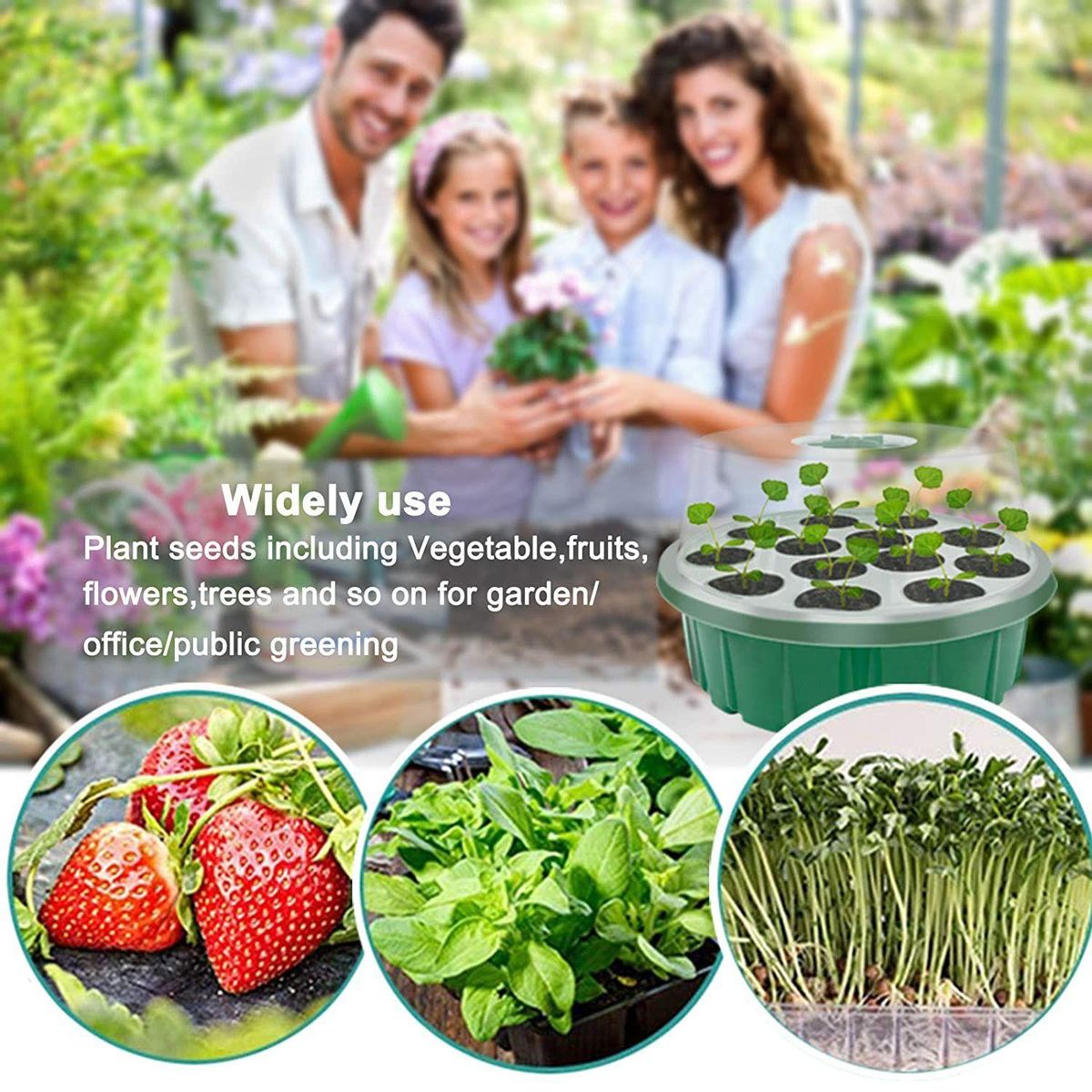 Seed Starter Tray, Humidity Adjustable with Dome & Base