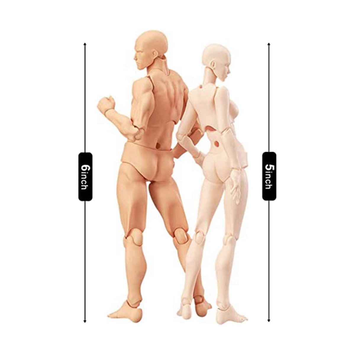 Body Doll, Artists Manikin Blockhead Jointed Mannequin