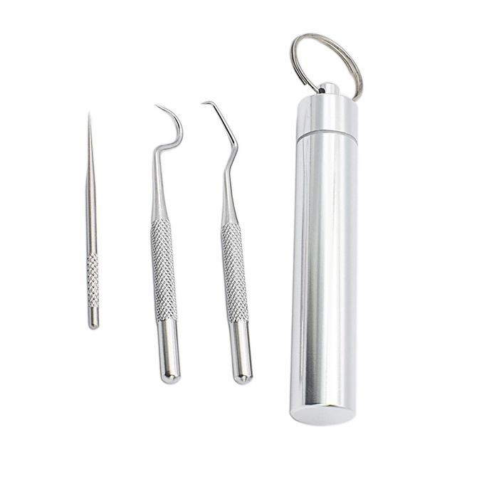 Pocket Stainless Steel Toothpick Kit Tooth Flossing 3Pcs Large Kit