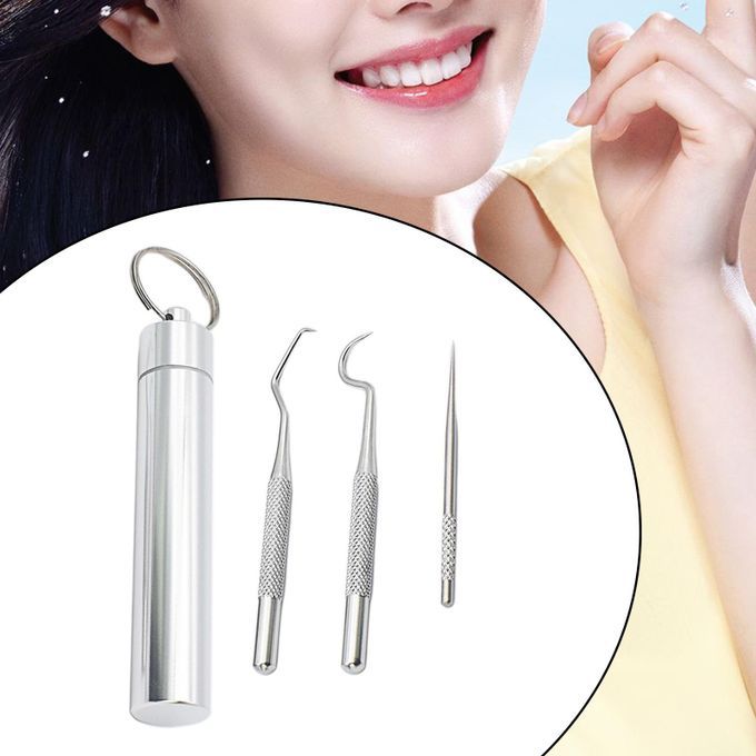 Pocket Stainless Steel Toothpick Kit Tooth Flossing 3Pcs Large Kit