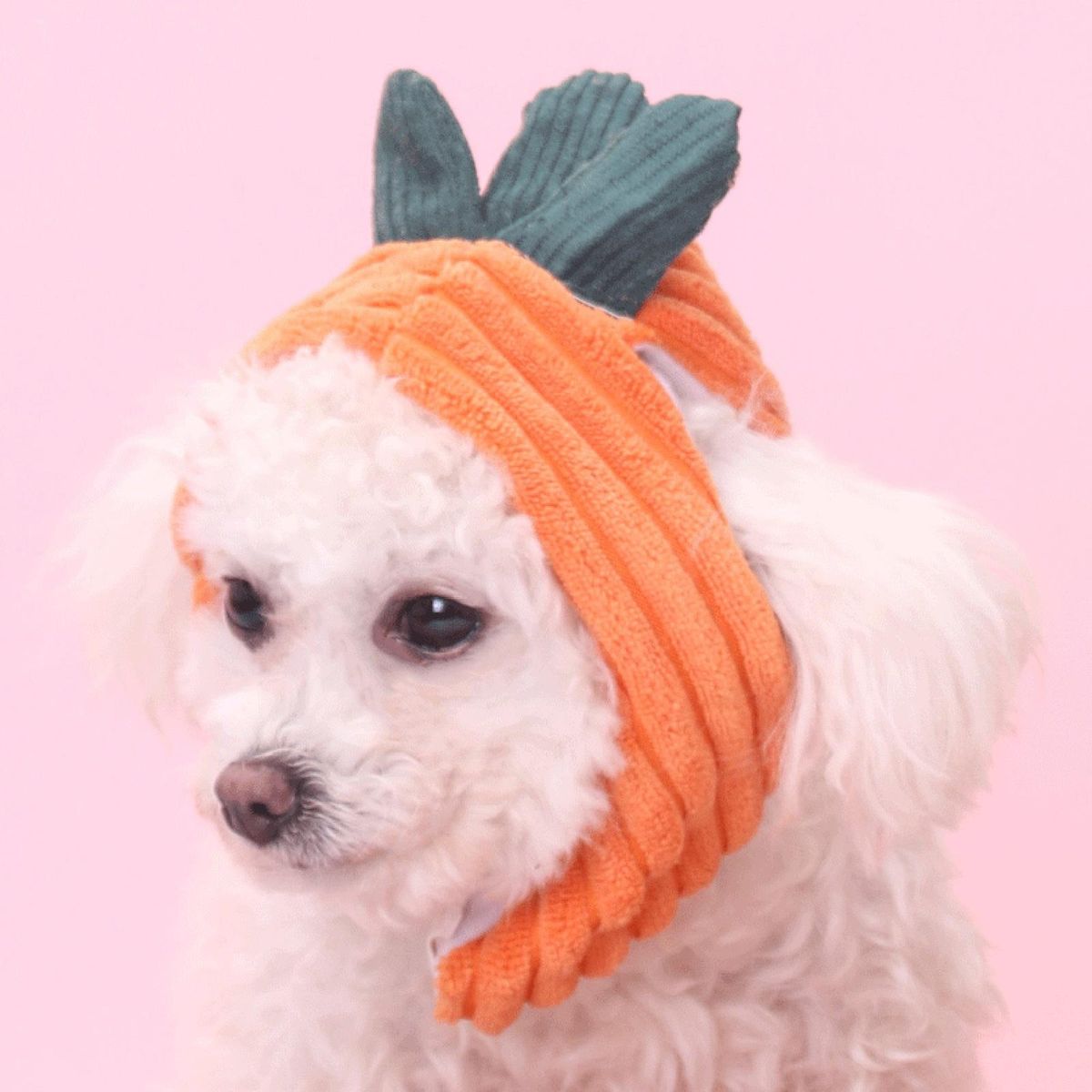 Pet Cap Cartoon Carrot Shape Dog Cat Hat Headdress Orange
