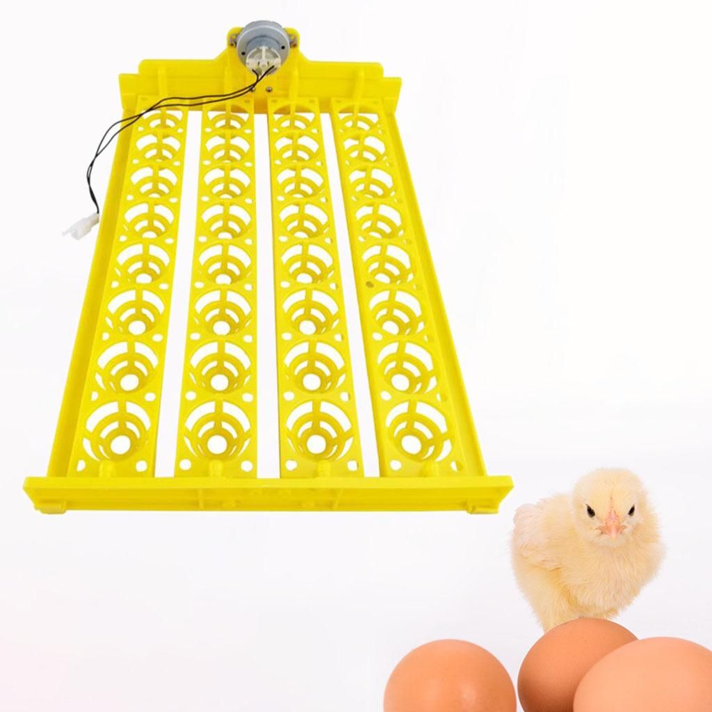 Egg Incubator Automatic Egg Turner Egg Hatcher Machine Hatching DC 12V