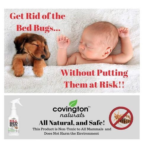 Bed Bug Spray 32 Ounce 946 Ml