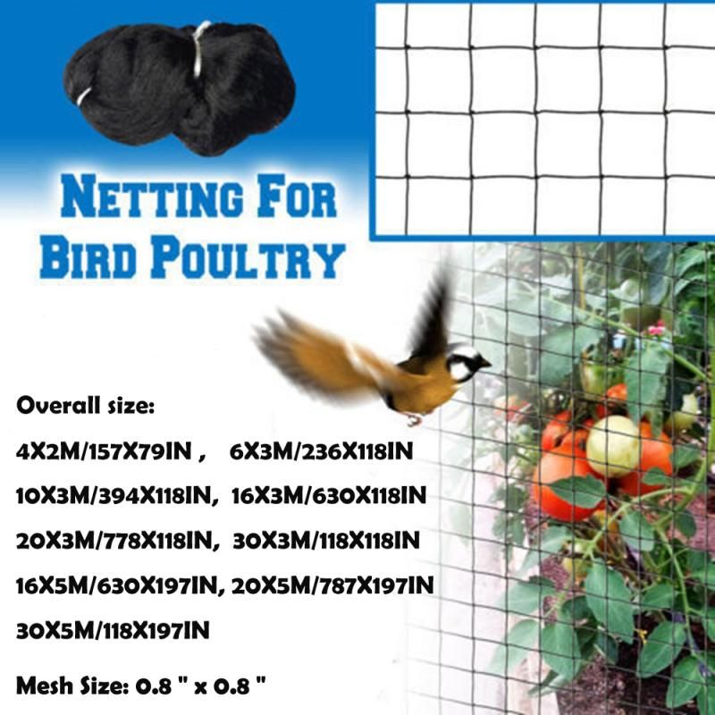 (4mX2m)Anti Bird Catcher Netting Pond Net Fishing Net Traps