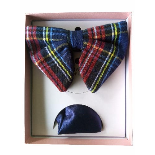 Multicolour Bowtie