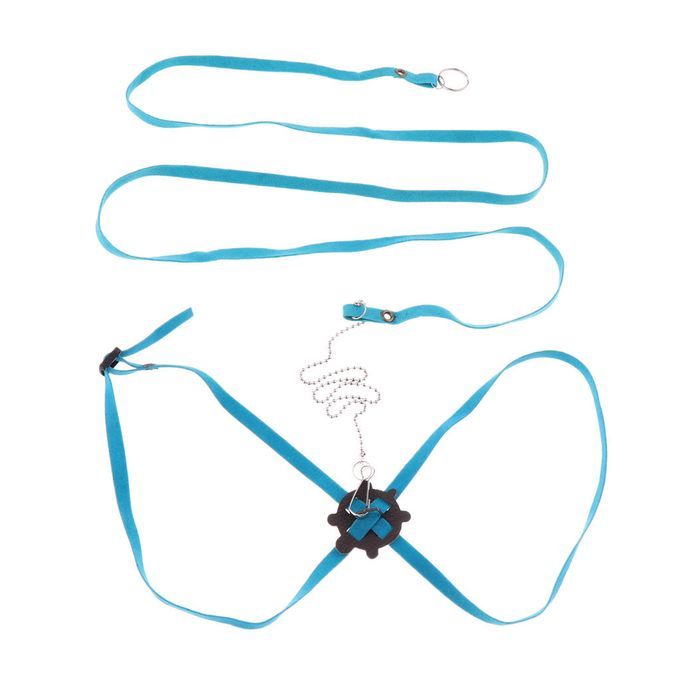 Adjustable Reptile Lizard Turtle Harness Leash For Pet Small Blue