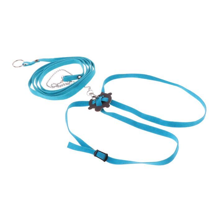 Adjustable Reptile Lizard Turtle Harness Leash For Pet Small Blue