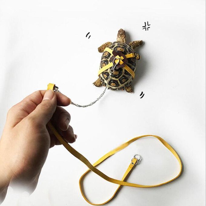 Adjustable Reptile Lizard Turtle Harness Leash For Pet Small Blue