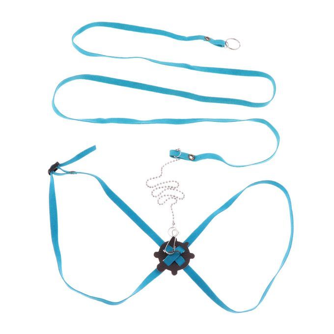 Adjustable Reptile Lizard Turtle Harness Leash For Pet Small Blue
