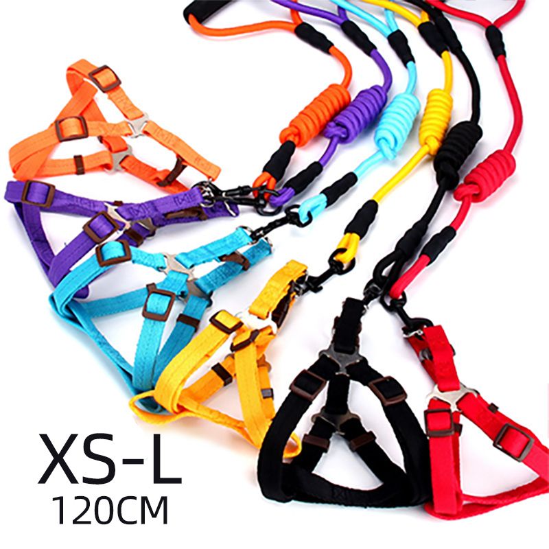 10 Color Durable Dog Harness Nylon Basic Leashes Medium Larg