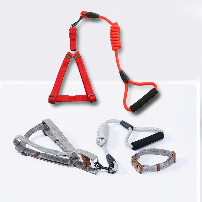 10 Color Durable Dog Harness Nylon Basic Leashes Medium Larg