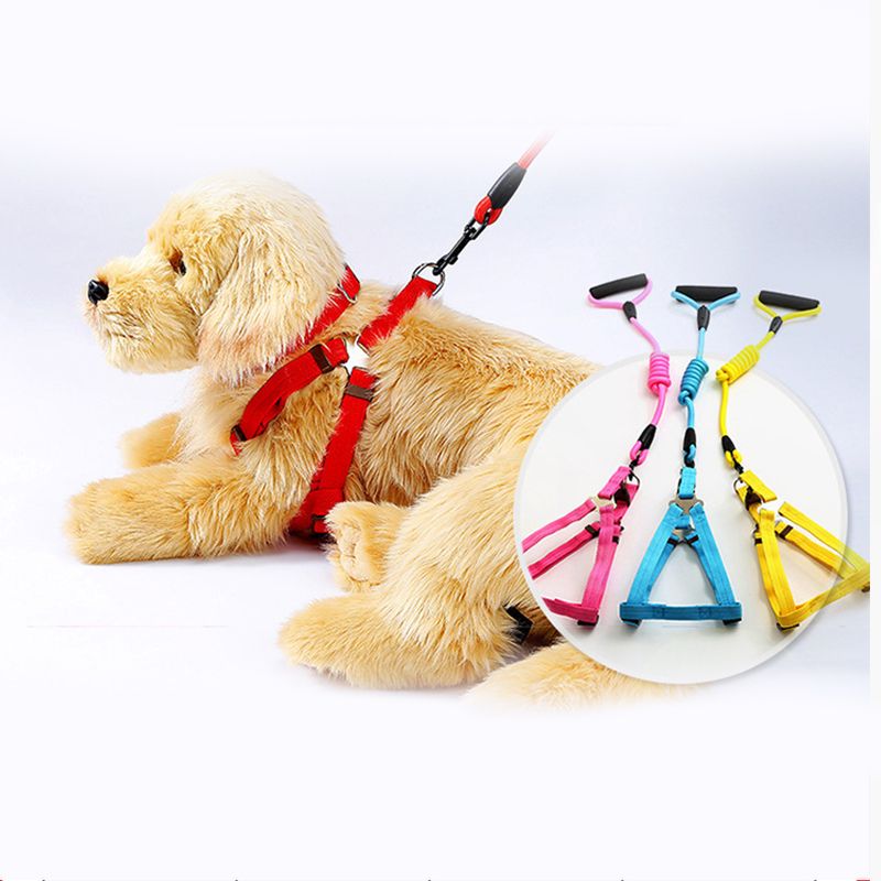 10 Color Durable Dog Harness Nylon Basic Leashes Medium Larg