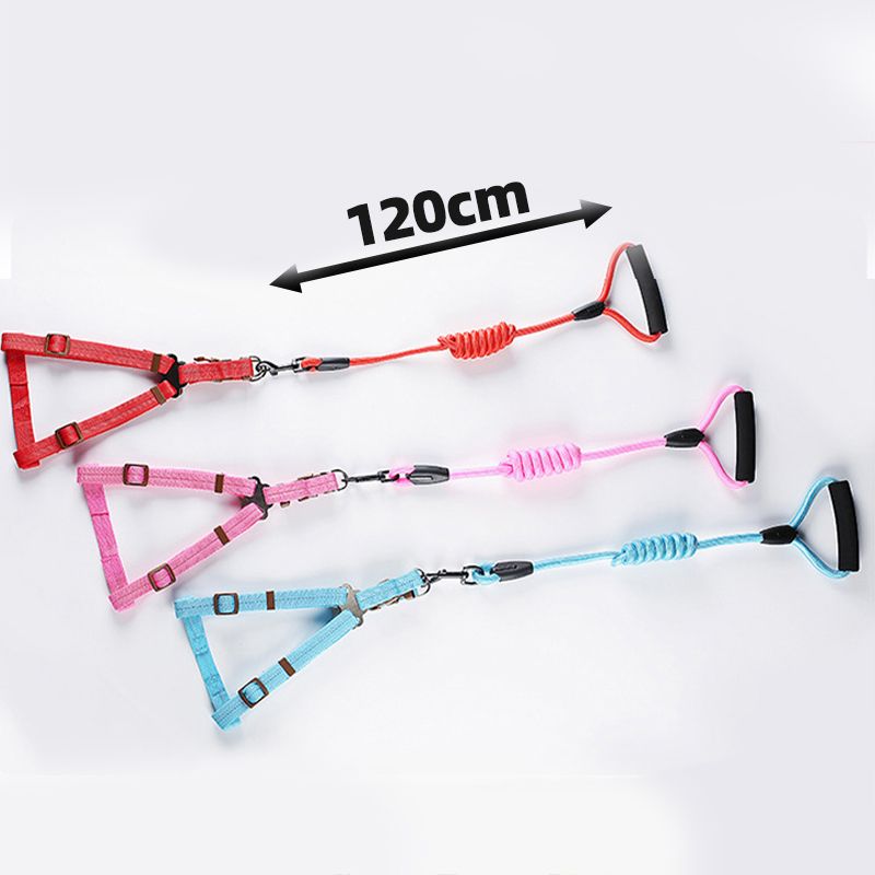 10 Color Durable Dog Harness Nylon Basic Leashes Medium Larg