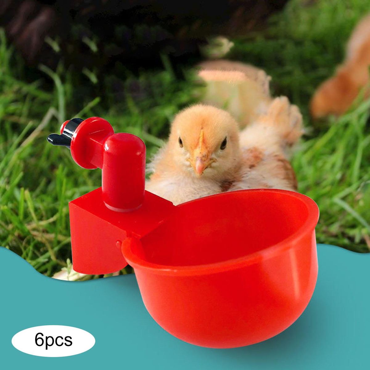 6 Pieces Chicken Drinkers Waterers Cups Bowls For Birds Quail Red