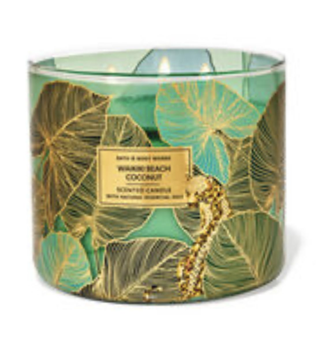 Wakiki Beach Coconut 3 Wick Candle