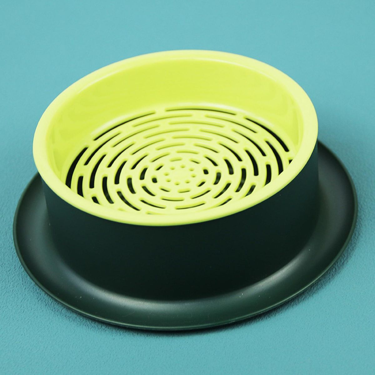 Box Seed  Propagation Green Base Yellow