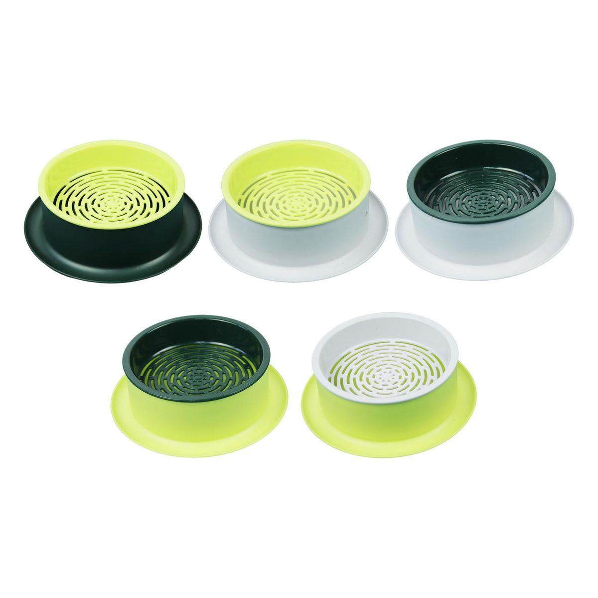 Box Seed  Propagation Green Base Yellow