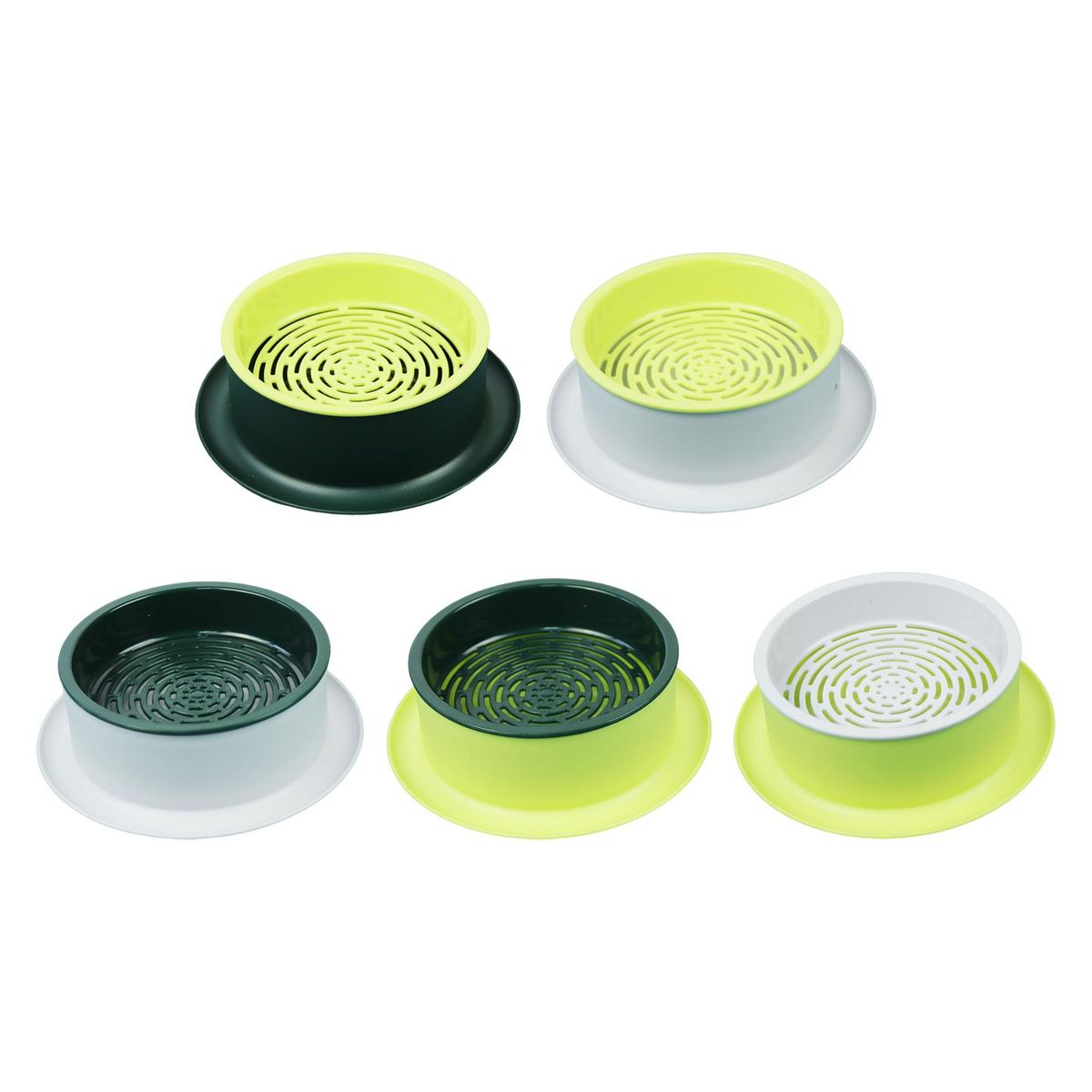 Box Seed  Propagation Green Base Yellow
