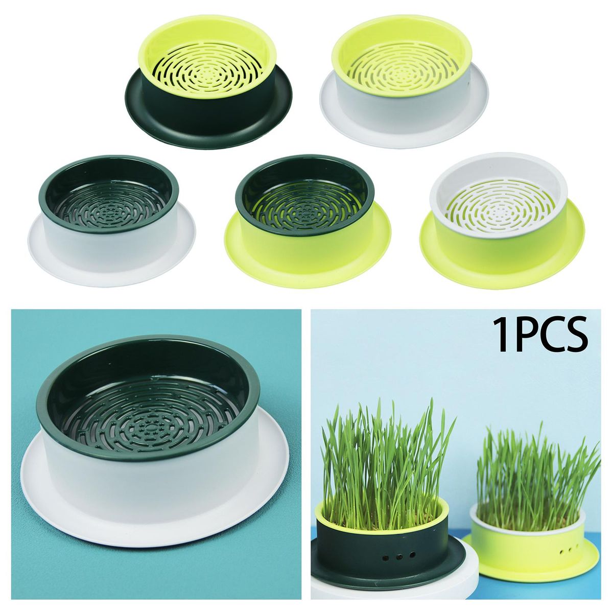 Box Seed  Propagation Green Base Yellow