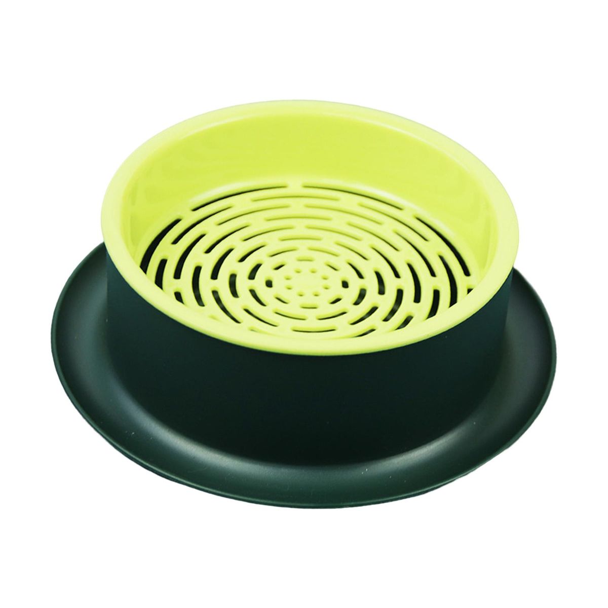 Box Seed  Propagation Green Base Yellow